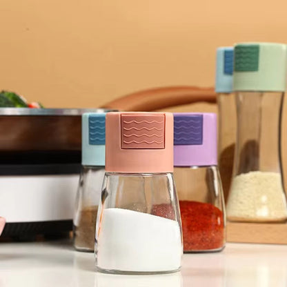 Pack of 2 Luxury Mini Seasoning Spice Jars